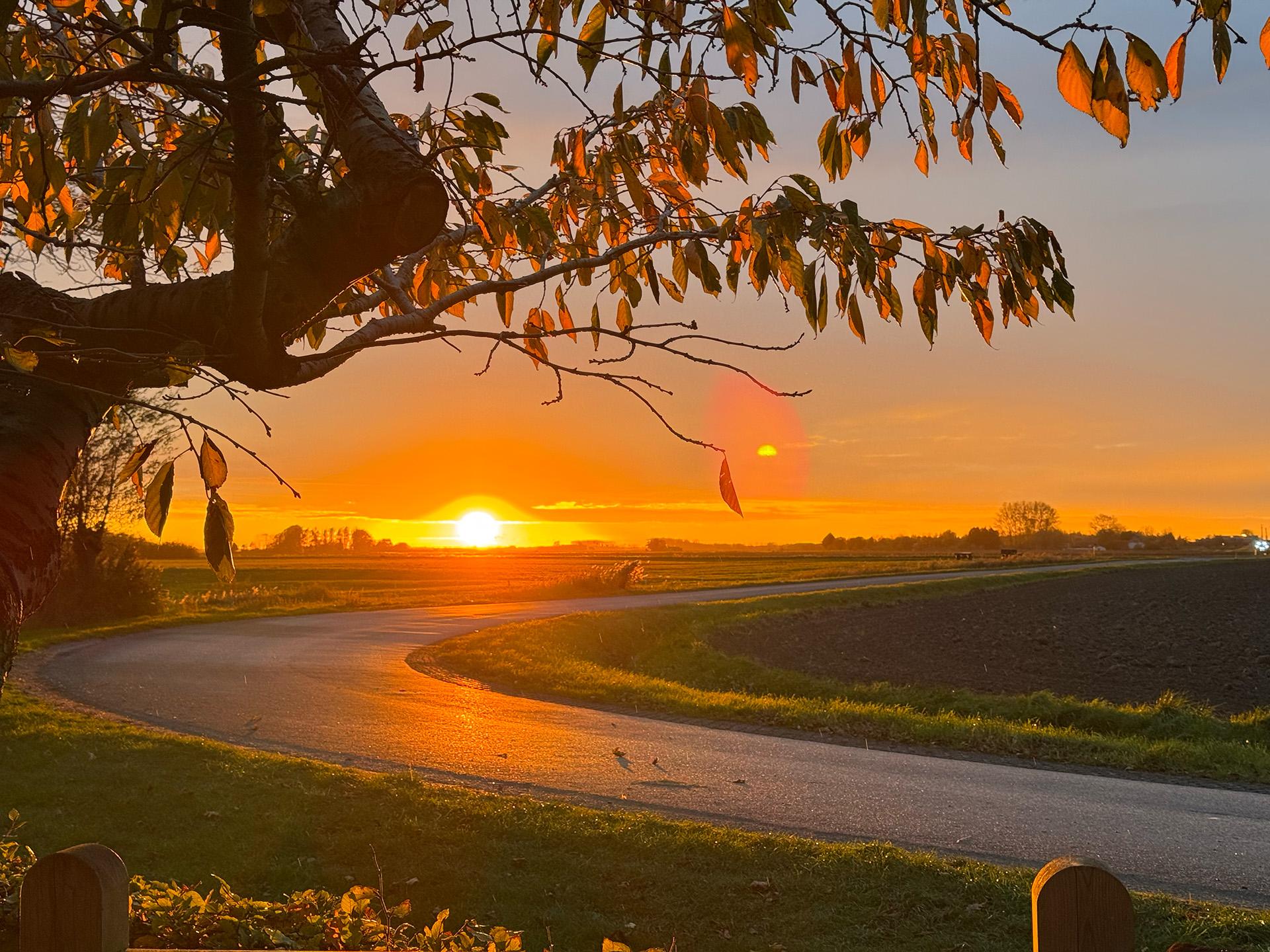 Kom Terug – in productie